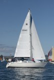 clann 2241c whyw24 sun 800 5475
